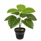 Cây giả để bàn cao 35cm _  trầu bà lá xanh